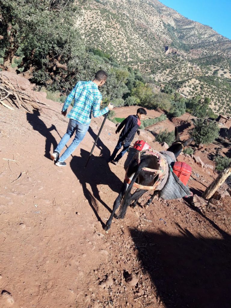 GEO MAROC Sarl – foto 1